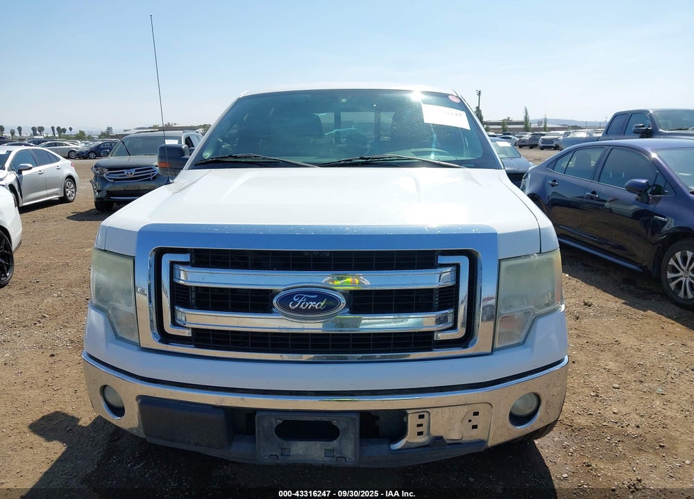 2013 FORD F-150 XLT VIN: 1FTEW1CMXDKE24692