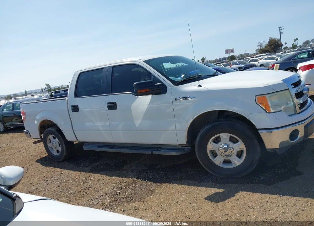 2013 FORD F-150 XLT VIN: 1FTEW1CMXDKE24692