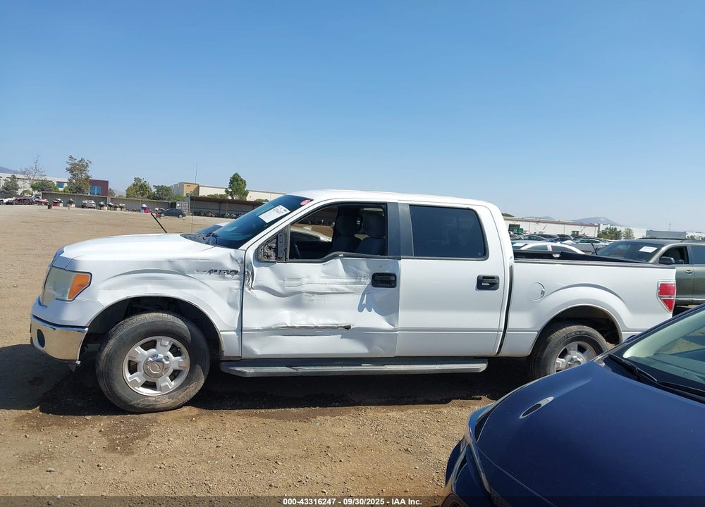 2013 FORD F-150 XLT VIN: 1FTEW1CMXDKE24692