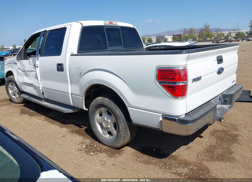 2013 FORD F-150 XLT VIN: 1FTEW1CMXDKE24692