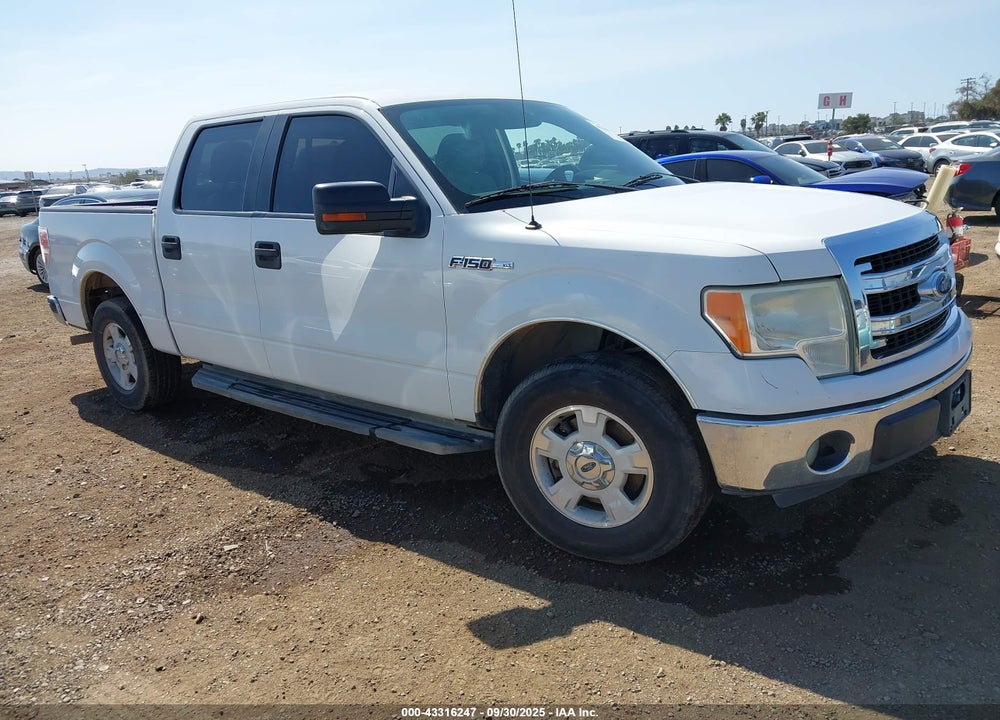 2013 FORD F-150 XLT VIN: 1FTEW1CMXDKE24692