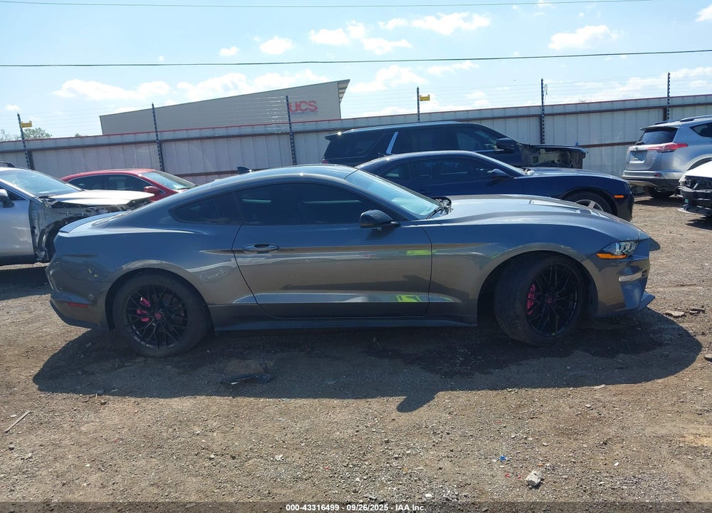 2023 FORD MUSTANG ECOBOOST PREMIUM FASTBACK VIN: 1FA6P8TH9P5113535