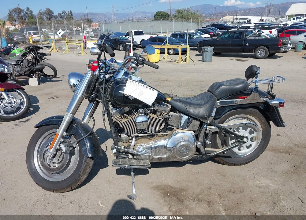 2004 HARLEY-DAVIDSON FLSTF VIN: 1HD1BMY384Y079959