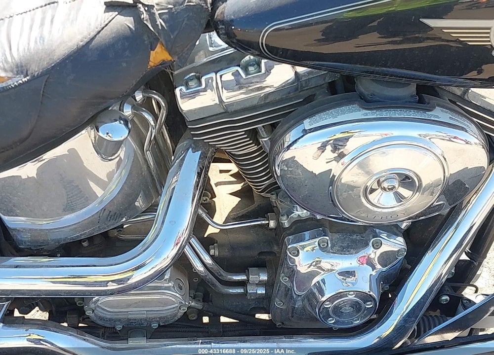 2004 HARLEY-DAVIDSON FLSTF VIN: 1HD1BMY384Y079959
