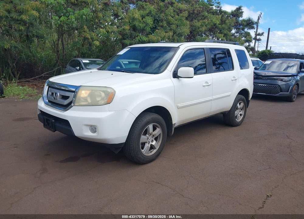 2010 HONDA PILOT EX-L VIN: 5FNYF4H66AB033234