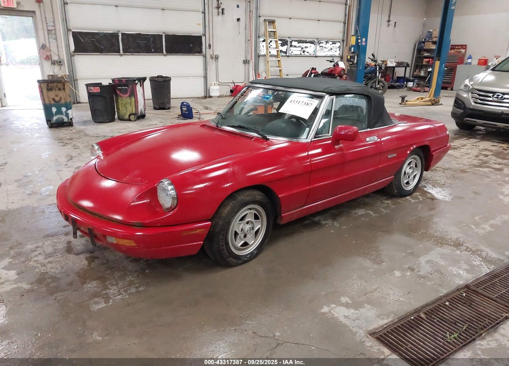 1991 ALFA ROMEO SPIDER VIN: ZARBB32G4M6007217