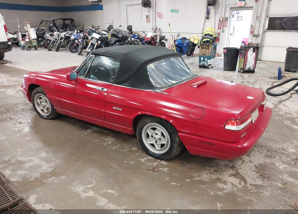 1991 ALFA ROMEO SPIDER VIN: ZARBB32G4M6007217