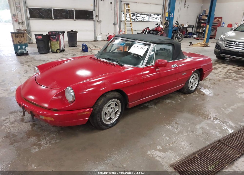 1991 ALFA ROMEO SPIDER VIN: ZARBB32G4M6007217