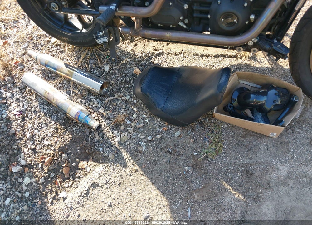 2024 HARLEY-DAVIDSON FXLRST VIN: 1HD1YXZ13RB056094