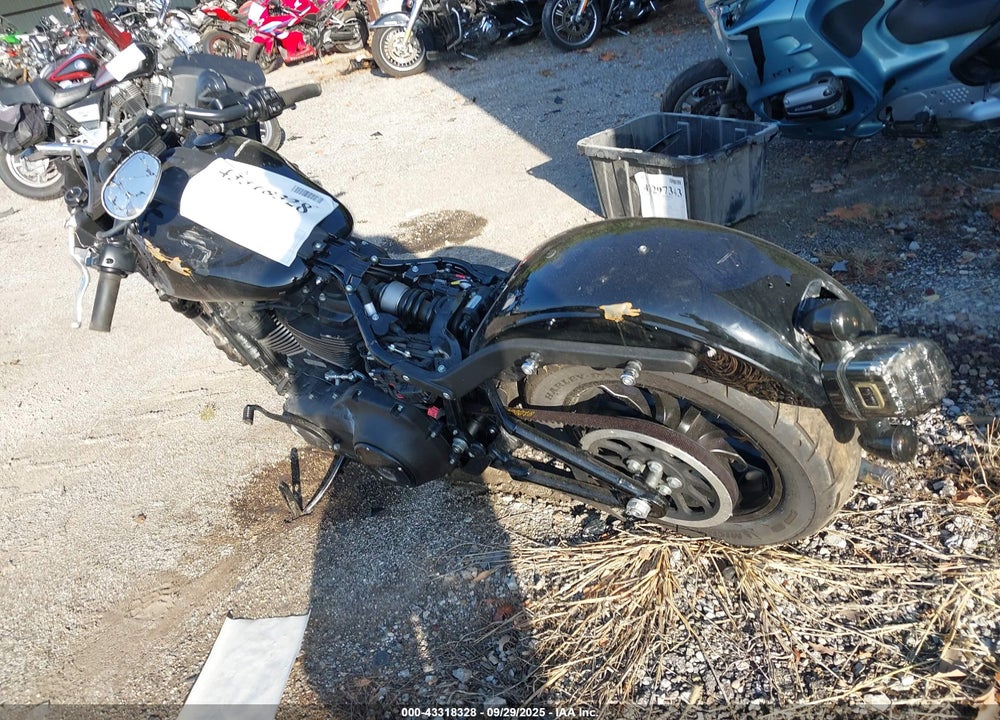 2024 HARLEY-DAVIDSON FXLRST VIN: 1HD1YXZ13RB056094