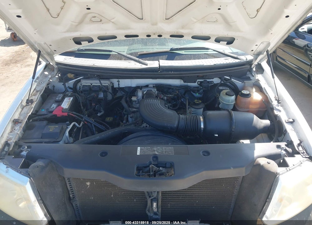 2005 FORD F-150 STX/XL/XLT VIN: 1FTRF12WX5NA33935