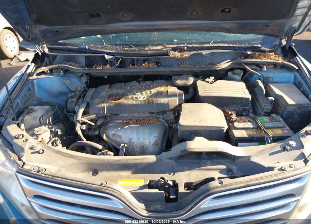 2009 TOYOTA VENZA VIN: 4T3BE11A49U006447