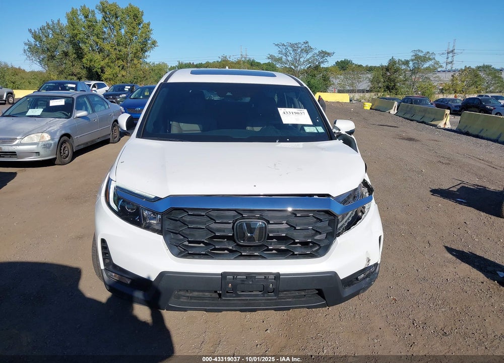2025 HONDA PASSPORT VIN: 5FNYF8H55SB013072