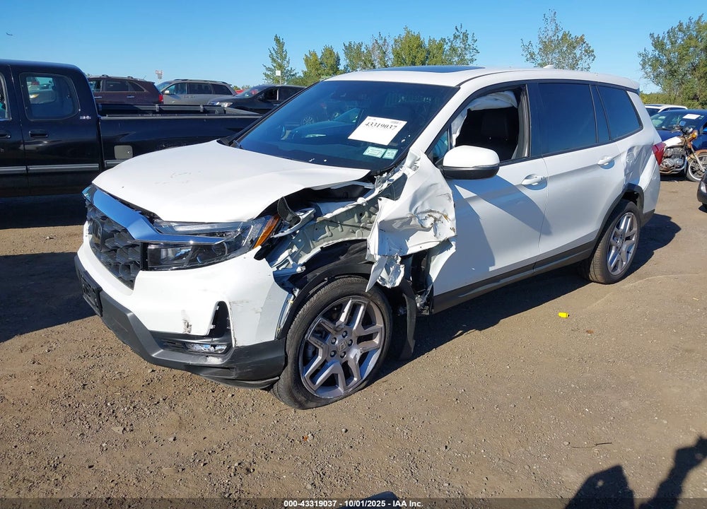2025 HONDA PASSPORT VIN: 5FNYF8H55SB013072