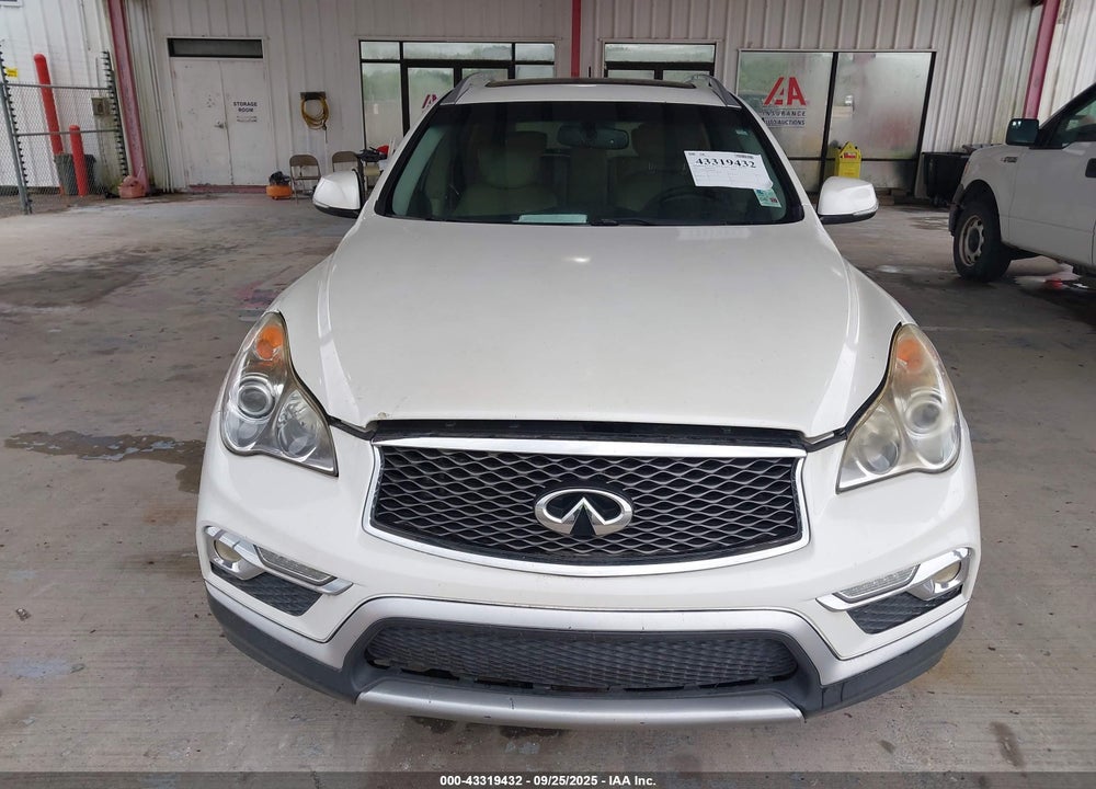 2017 INFINITI QX50 VIN: JN1BJ0RP1HM383038