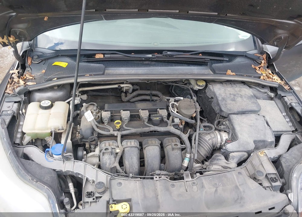 2012 FORD FOCUS VIN: 1FAHP3N29CL365618
