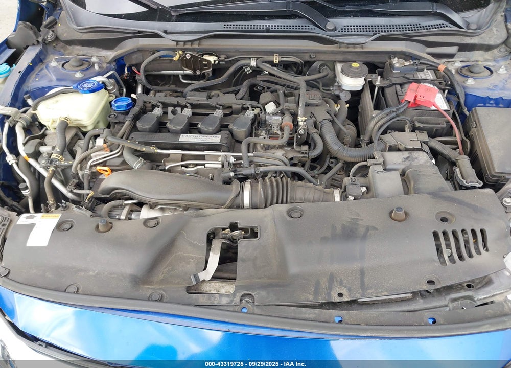 2016 HONDA CIVIC VIN: 2HGFC1F93GH643558
