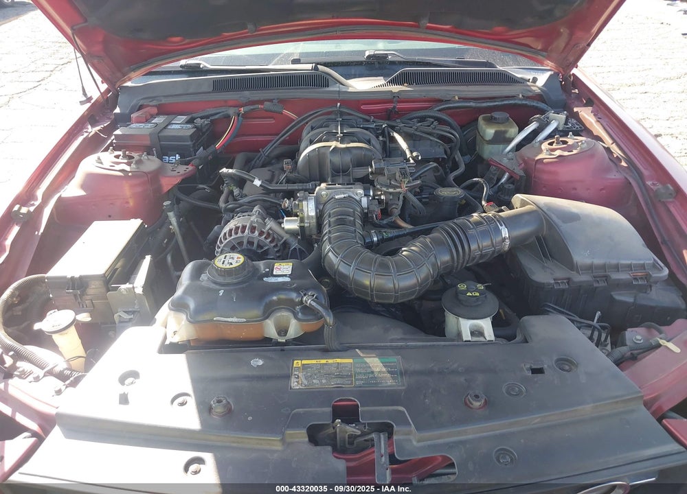 2006 FORD MUSTANG V6 VIN: 1ZVFT80N565182394