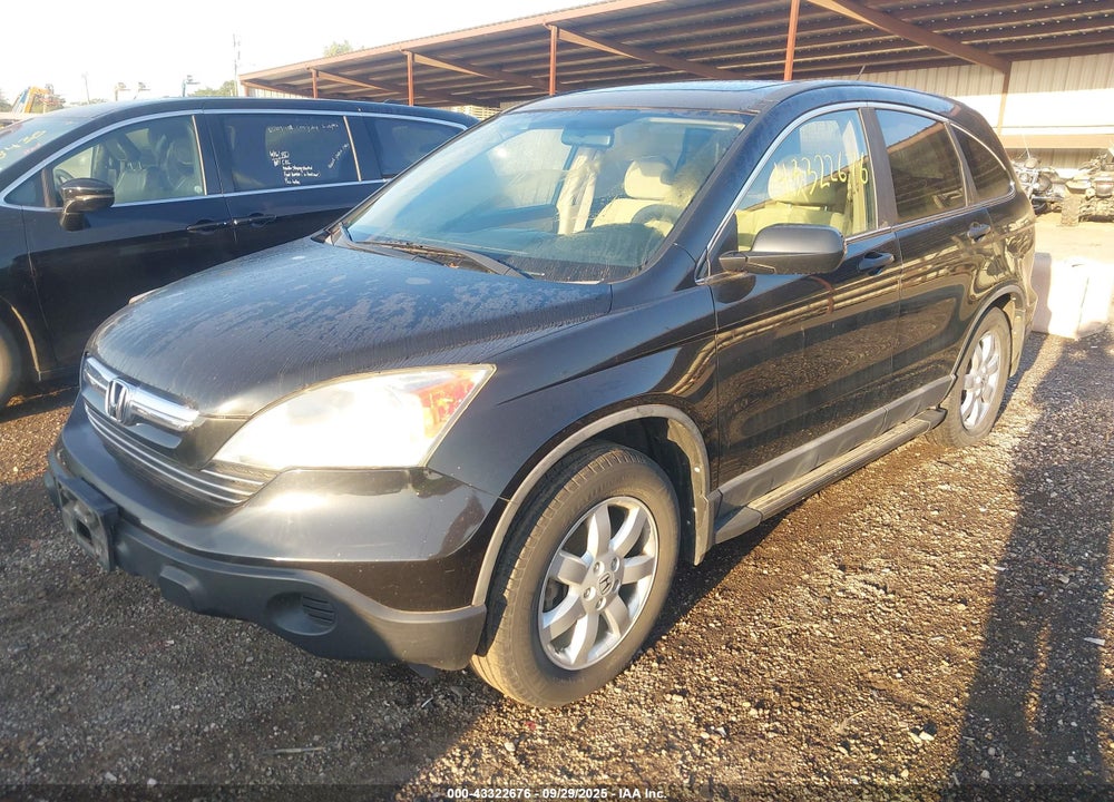 2009 HONDA CR-V VIN: 5J6RE48549L029183