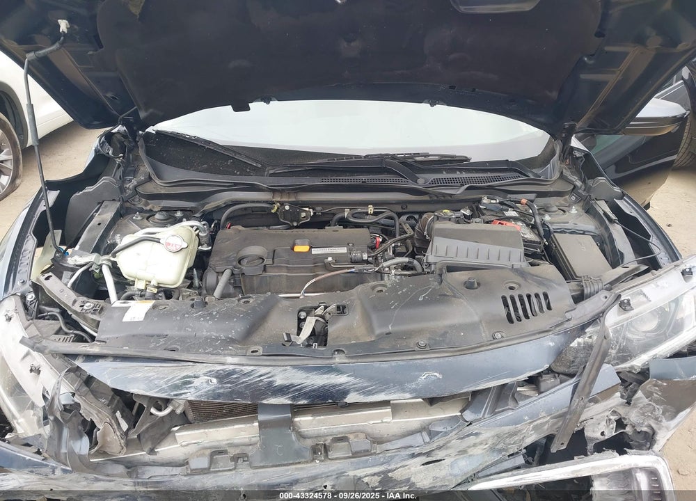 2019 HONDA CIVIC VIN: 2HGFC2F65KH522387