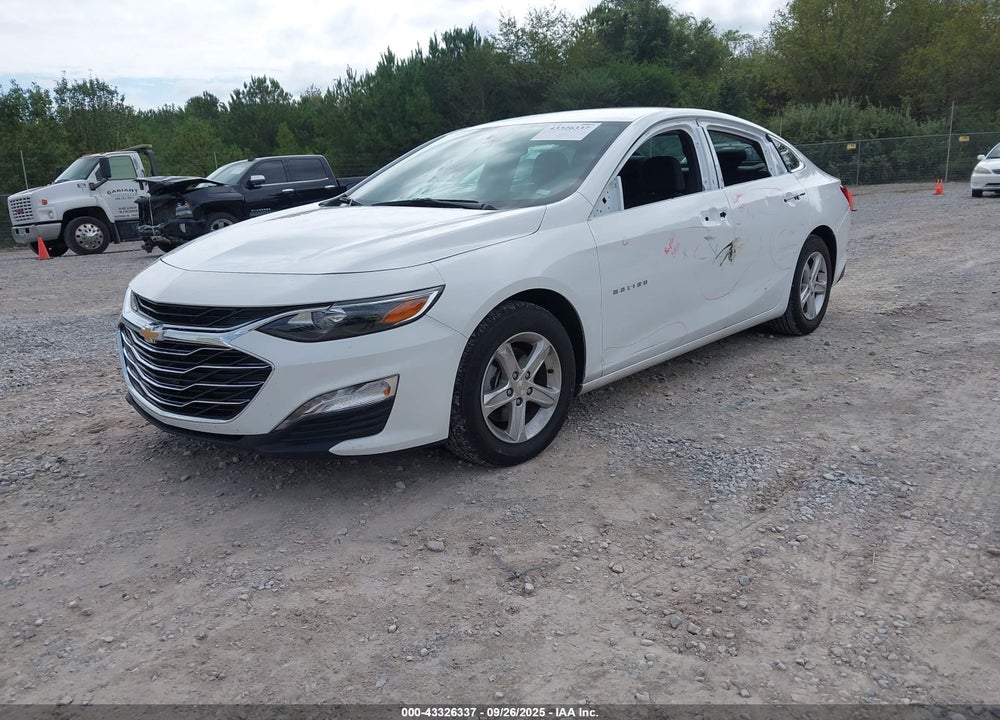 2024 CHEVROLET MALIBU FWD 1LT VIN: 1G1ZD5ST6RF195587