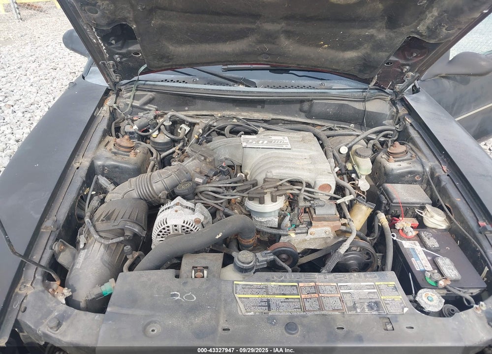 1995 FORD MUSTANG GT/GTS VIN: 1FALP42T7SF142469