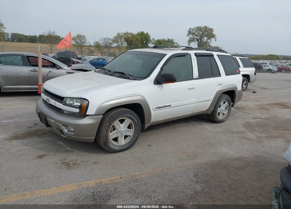 2003 CHEVROLET TRAILBLAZER LTZ VIN: 1GNDT13S232376551