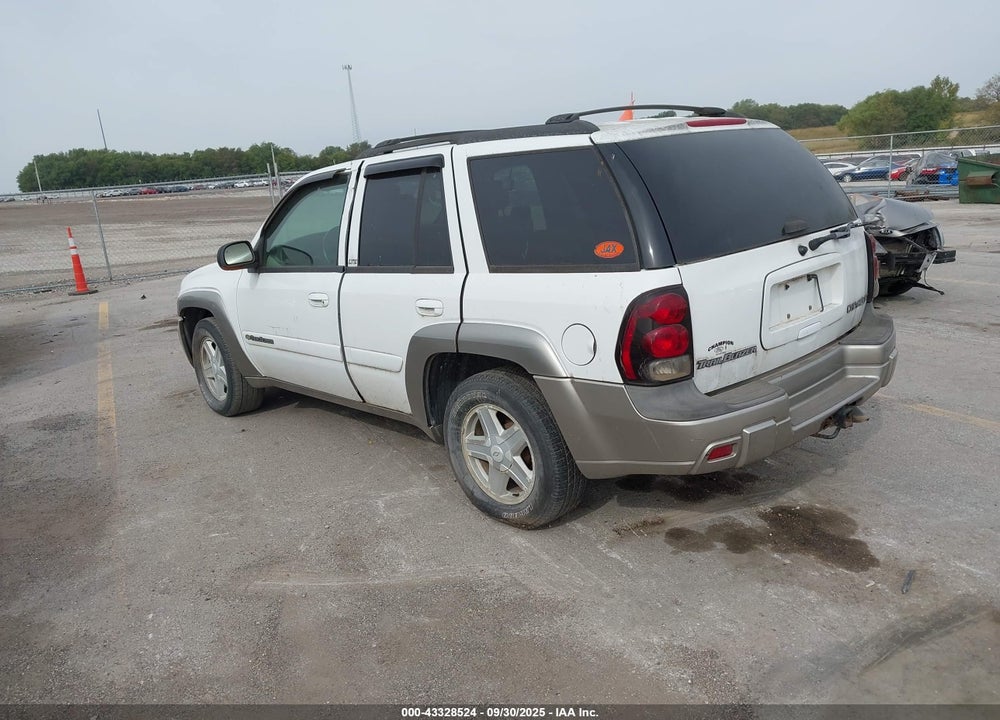 2003 CHEVROLET TRAILBLAZER LTZ VIN: 1GNDT13S232376551