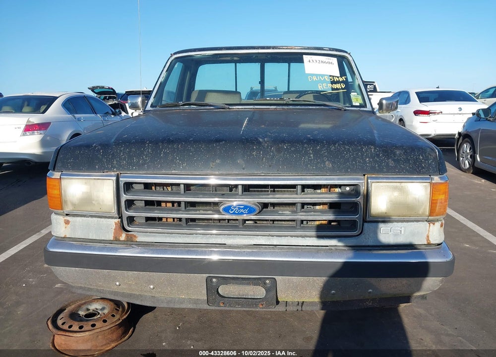 1990 FORD F150 VIN: 1FTDF15N8LNA03911