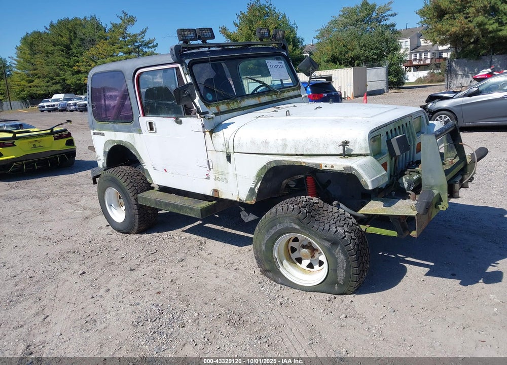 1989 JEEP WRANGLER / YJ VIN: 2J4FY19E9KJ141318
