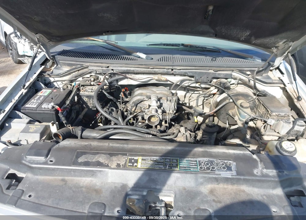 2003 FORD F-150 XL/XLT VIN: 1FTRX17253KA20415