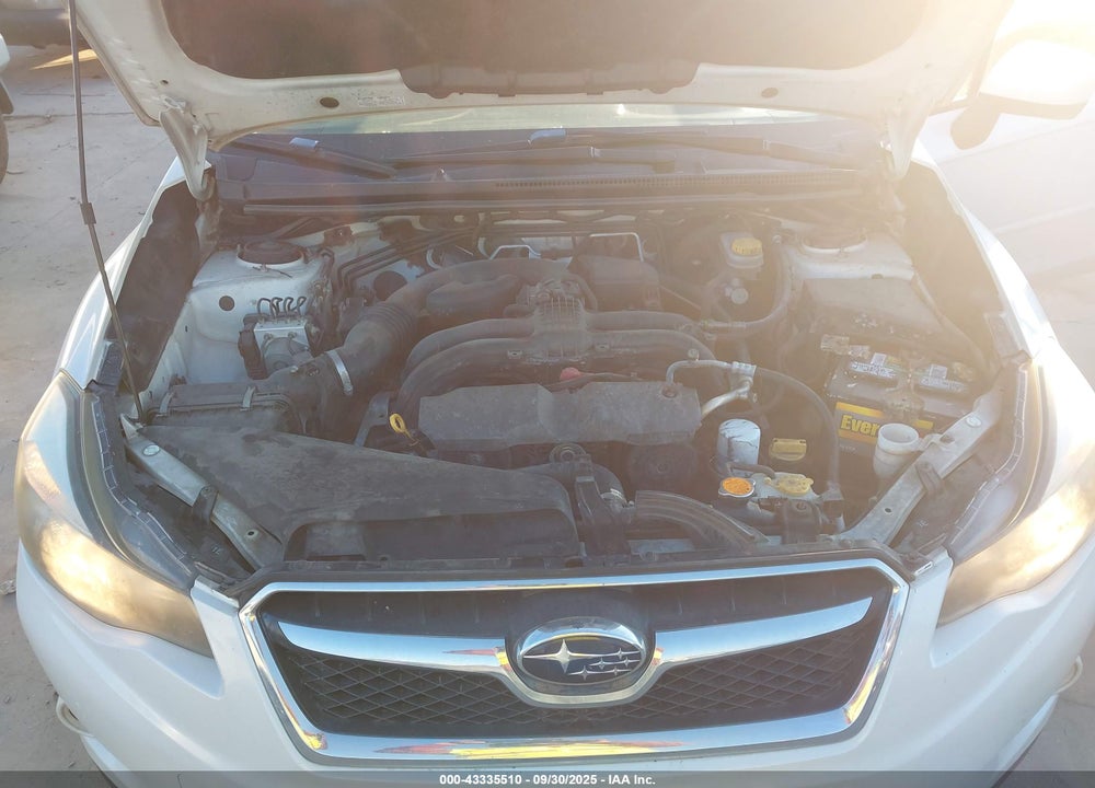 2013 SUBARU XV CROSSTREK VIN: JF2GPAGCXD2879308
