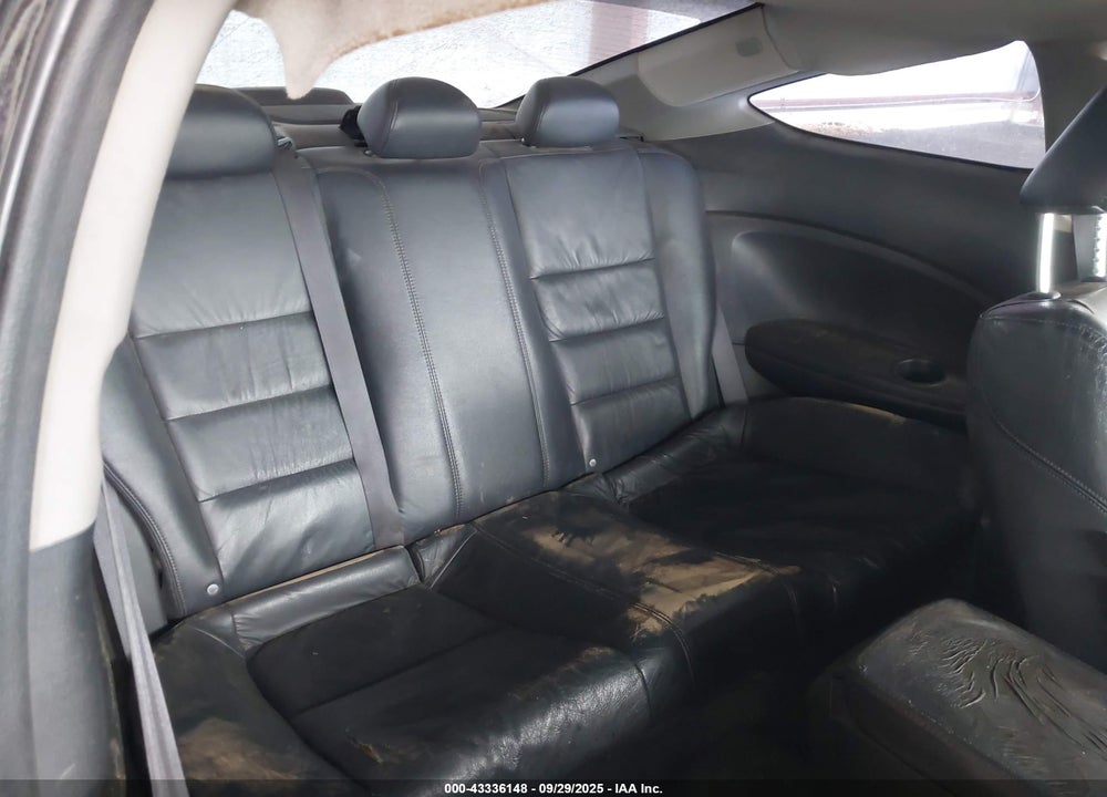 2010 HONDA ACCORD VIN: 1HGCS1B84AA003450
