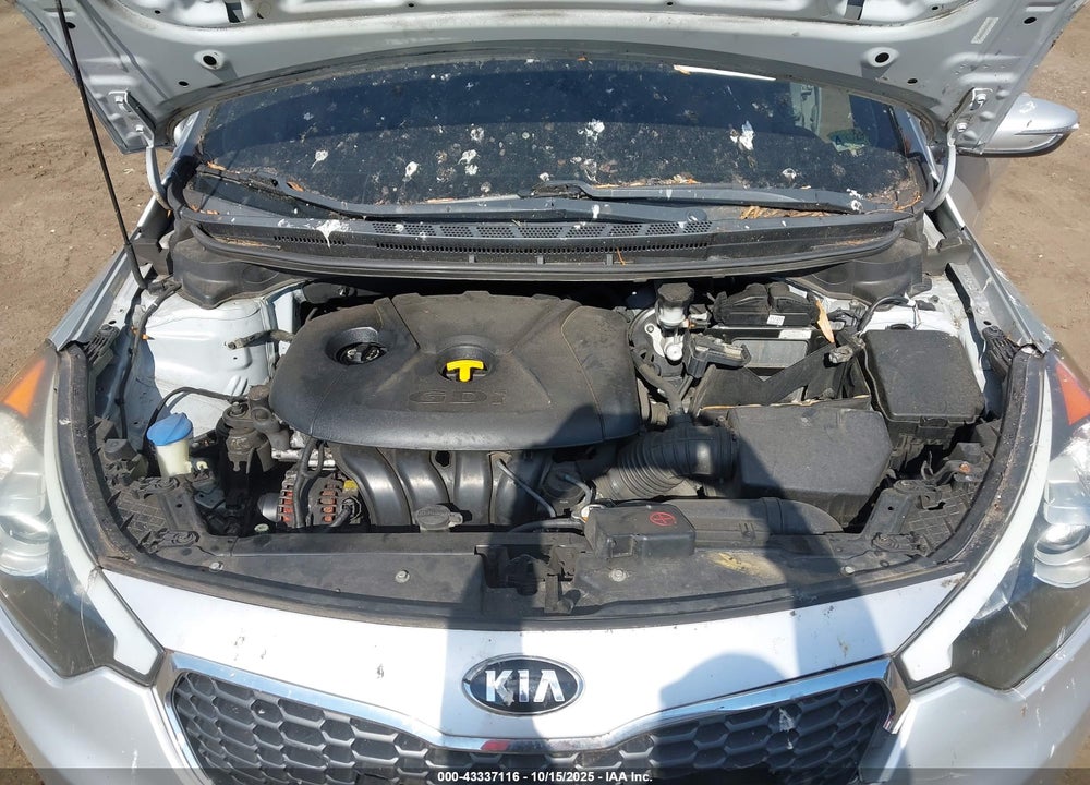 2014 KIA FORTE VIN: KNAFX4A87E5179615