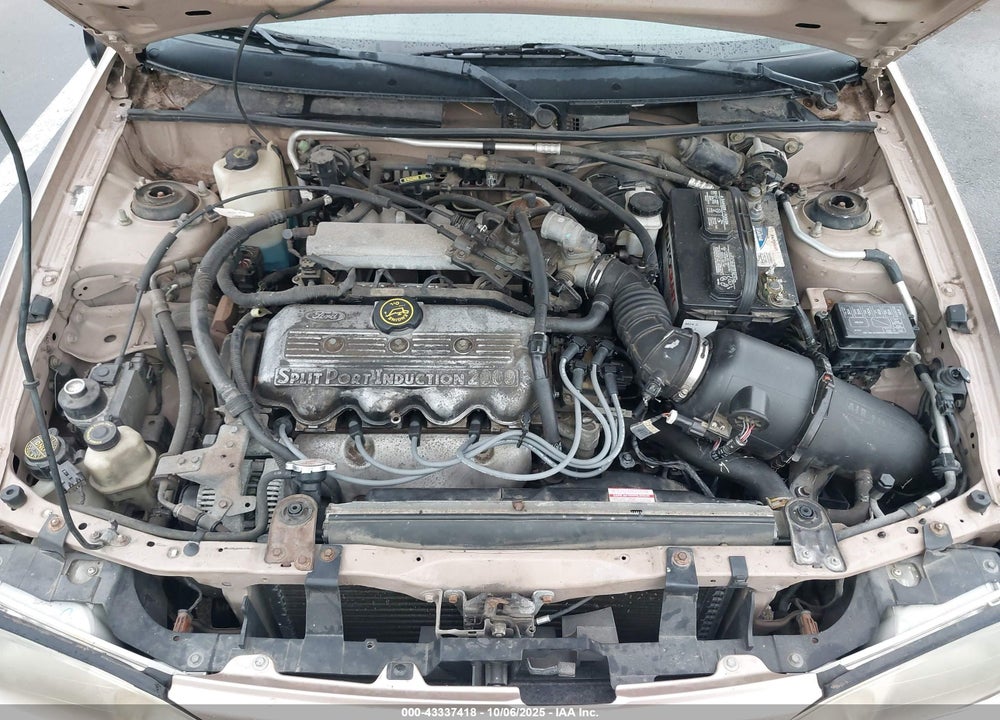 1998 FORD ESCORT SE VIN: 1FAFP13P2WW316581