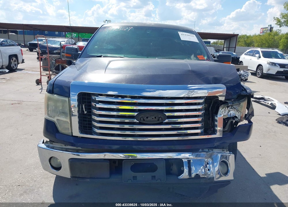 2010 FORD F-150 VIN: 1FTEW1C80AKA49989