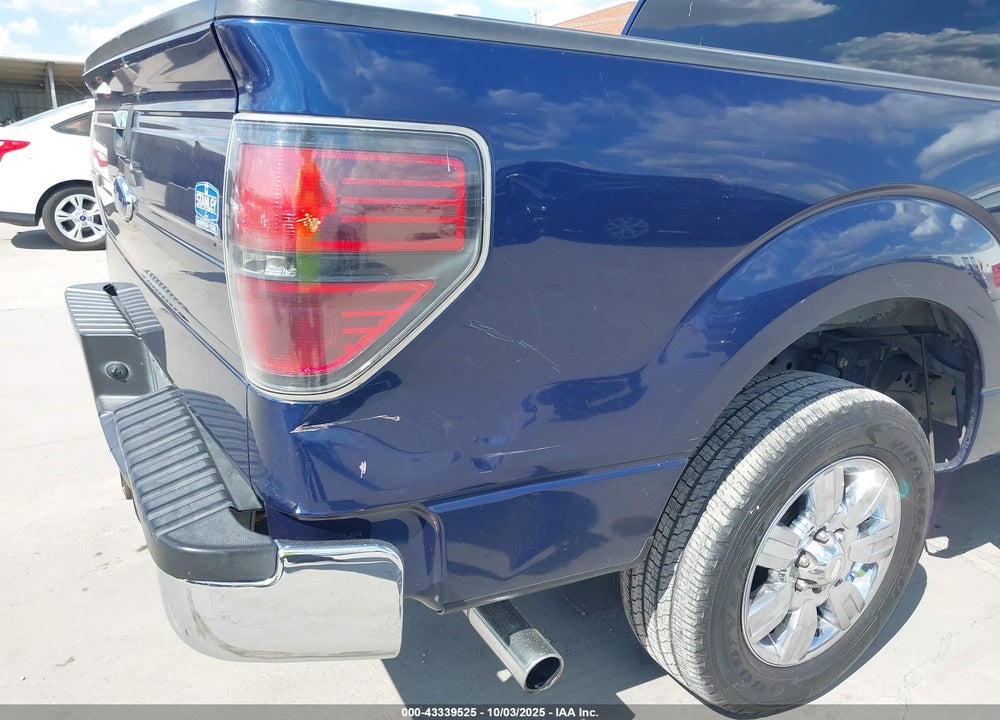 2010 FORD F-150 VIN: 1FTEW1C80AKA49989