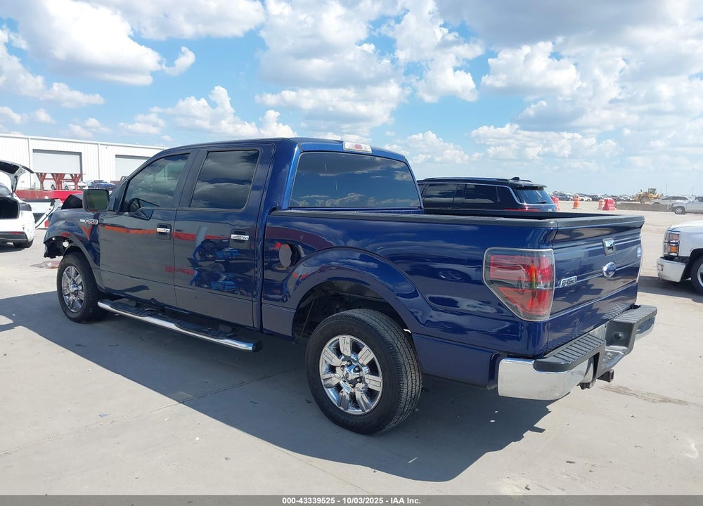 2010 FORD F-150 VIN: 1FTEW1C80AKA49989