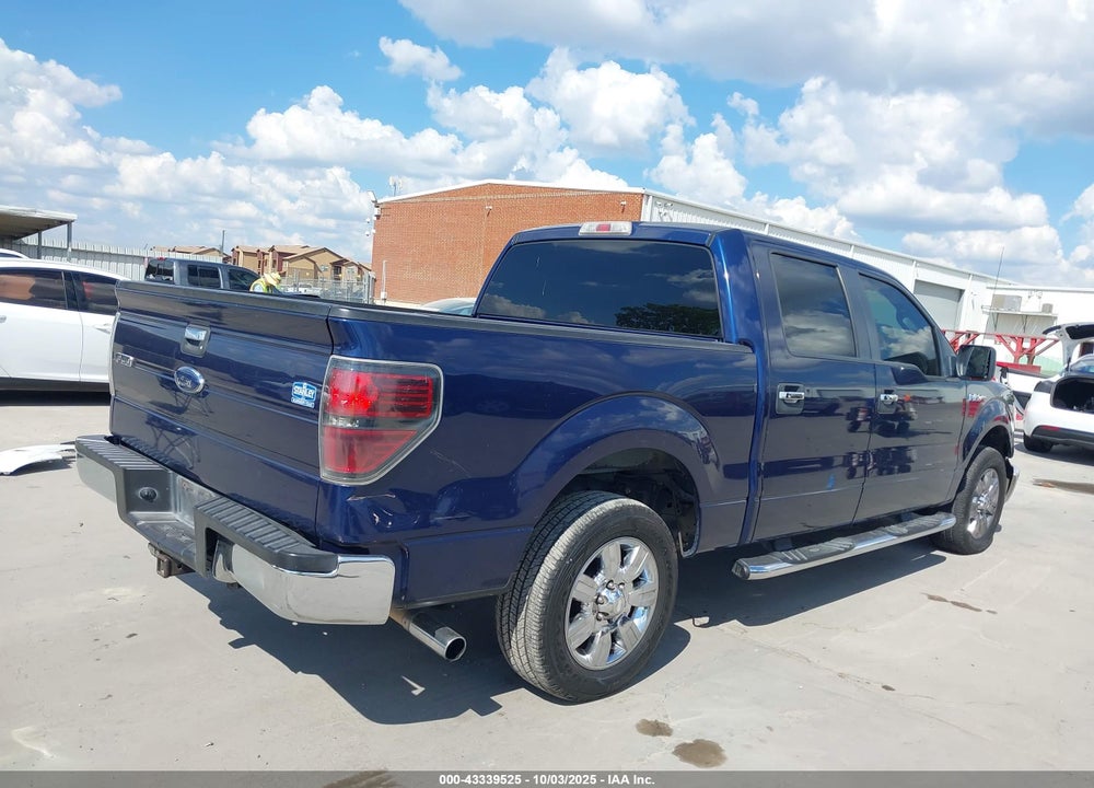 2010 FORD F-150 VIN: 1FTEW1C80AKA49989