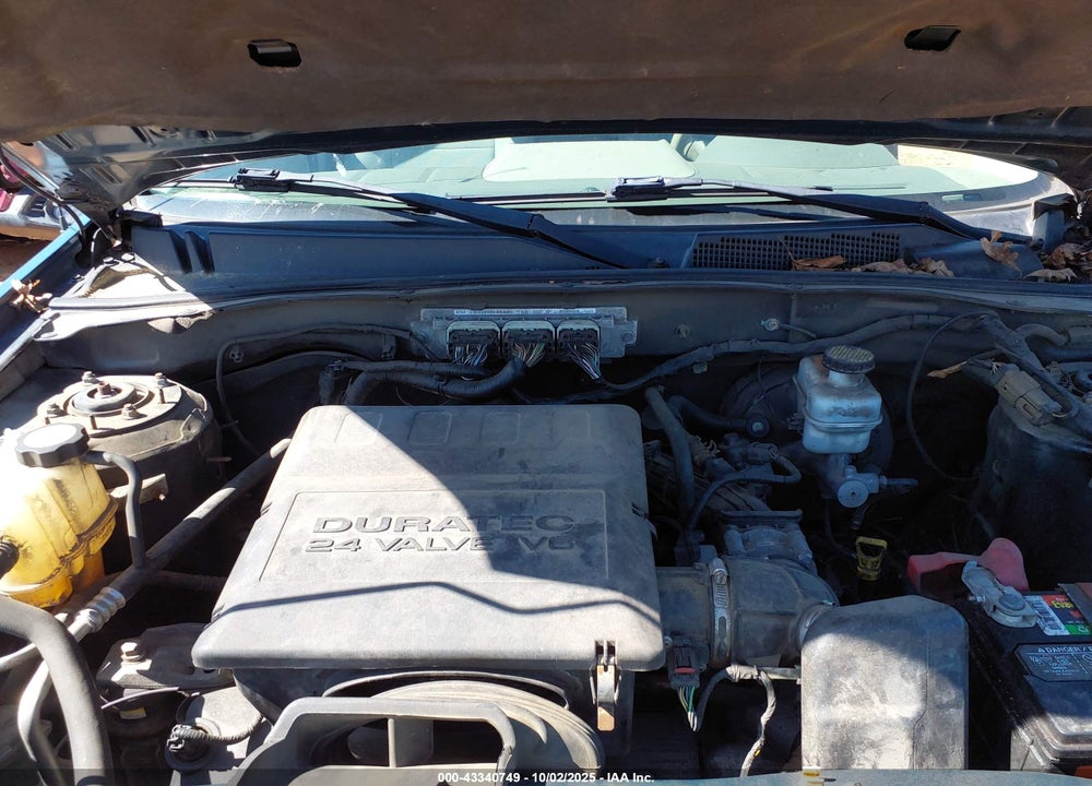 2010 FORD ESCAPE XLT VIN: 1FMCU9DG9AKD05219