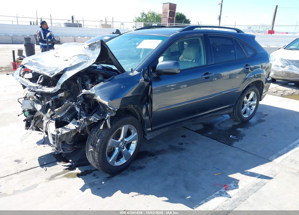 2004 LEXUS RX 330 VIN: JTJGA31U040024199
