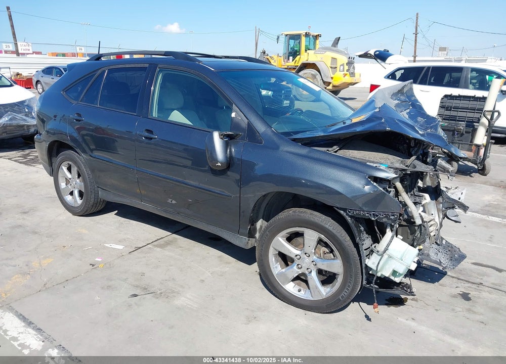 2004 LEXUS RX 330 VIN: JTJGA31U040024199