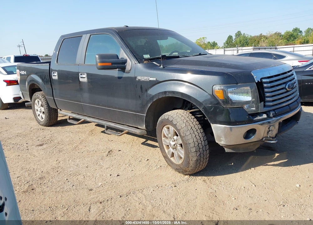 2012 FORD F-150 XLT VIN: 1FTFW1EF7CFA86243