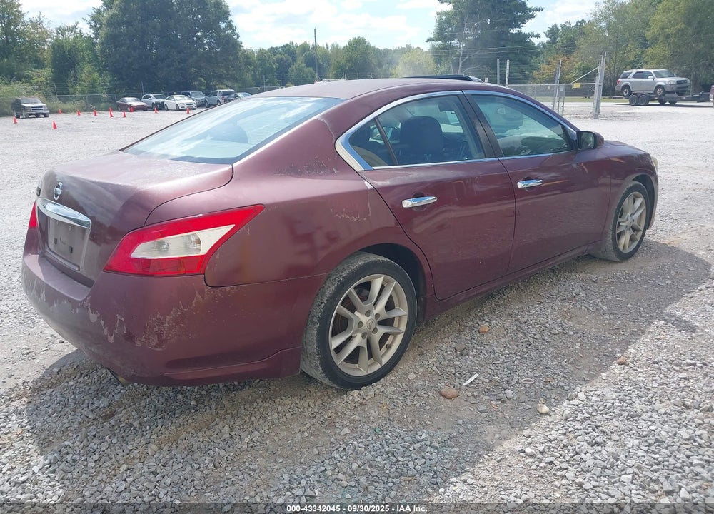 2010 NISSAN MAXIMA VIN: 1N4AA5AP1AC828199