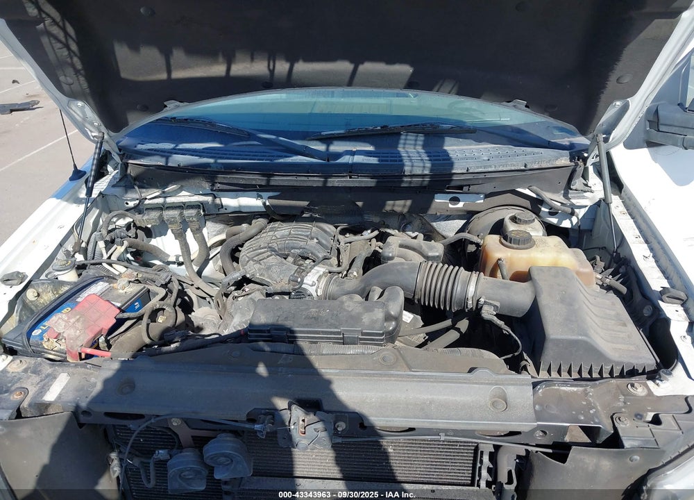 2011 FORD F-150 XL VIN: 1FTMF1CM3BKD44658