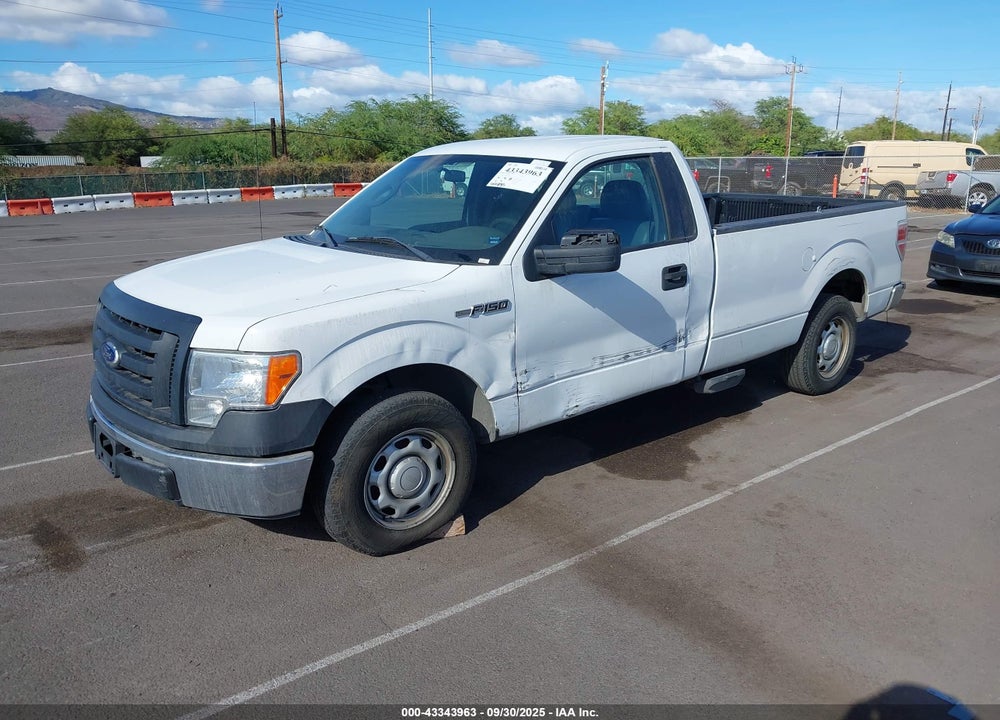 2011 FORD F-150 XL VIN: 1FTMF1CM3BKD44658