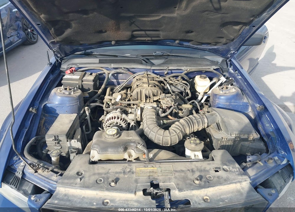2007 FORD MUSTANG VIN: 1ZVFT80N275244559