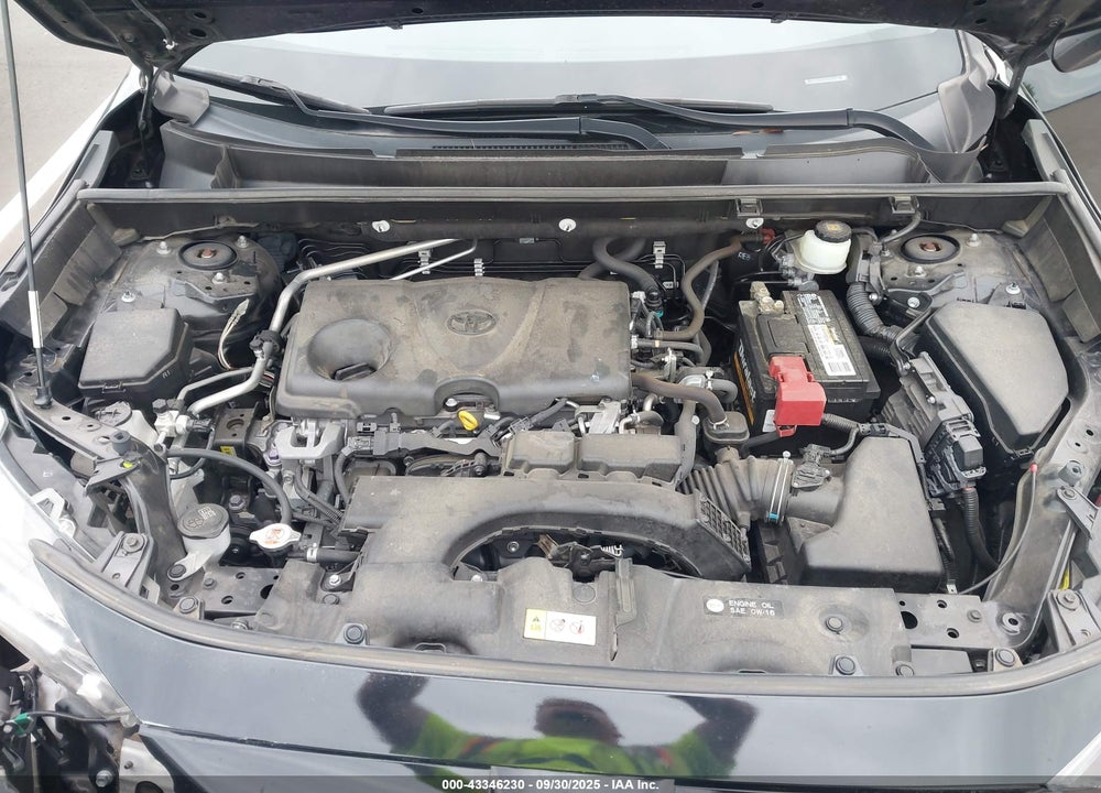 2019 TOYOTA RAV4 XLE VIN: JTMW1RFV9KD507442