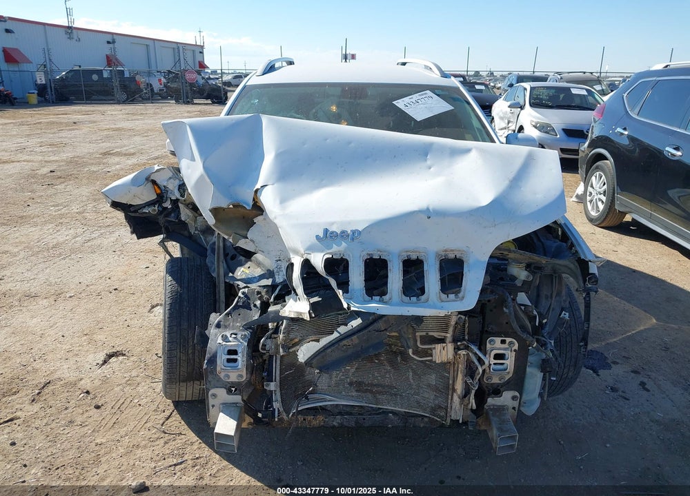 2020 JEEP CHEROKEE VIN: 1C4PJLLB4LD561518