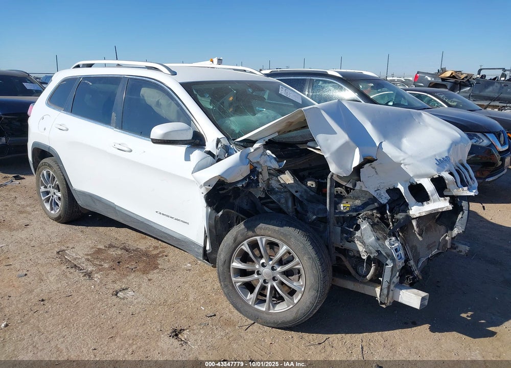2020 JEEP CHEROKEE VIN: 1C4PJLLB4LD561518
